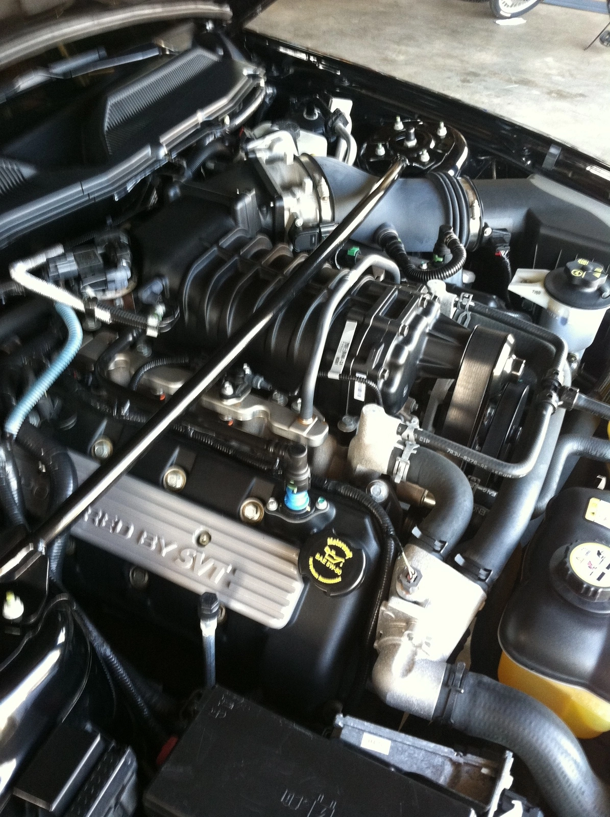 image1.webp