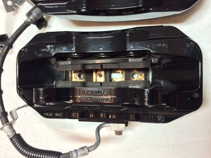 image10101.webp