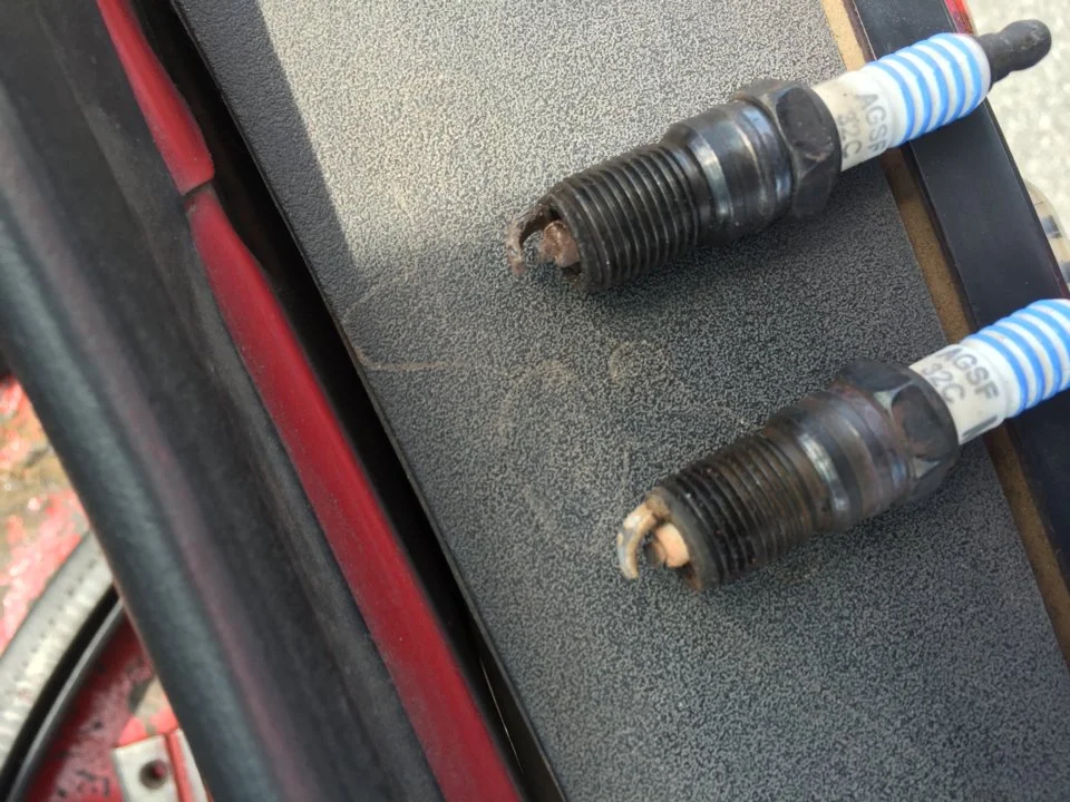 image2 (3).webp