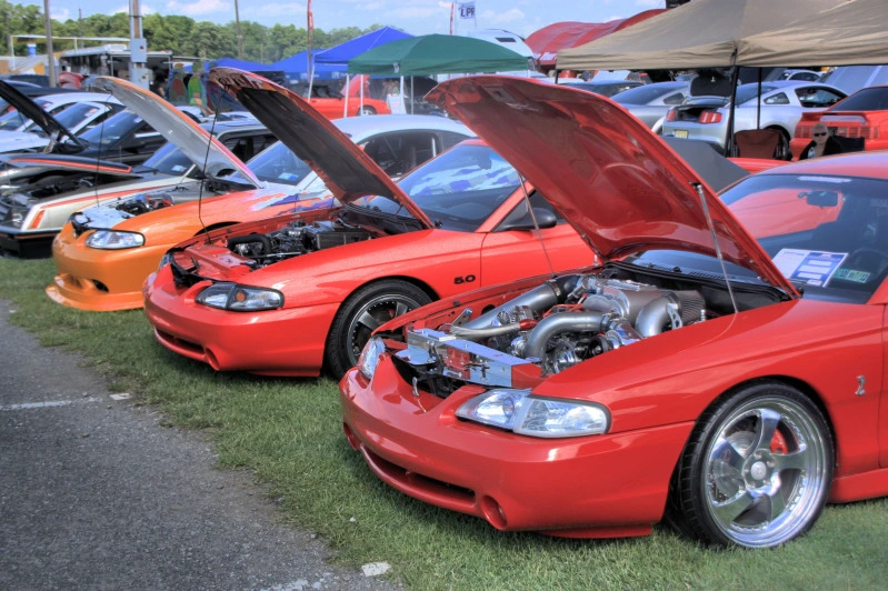Image3.webp