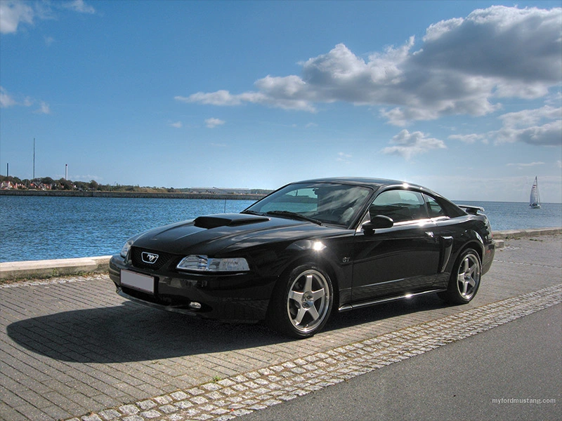 image33_800x600.webp