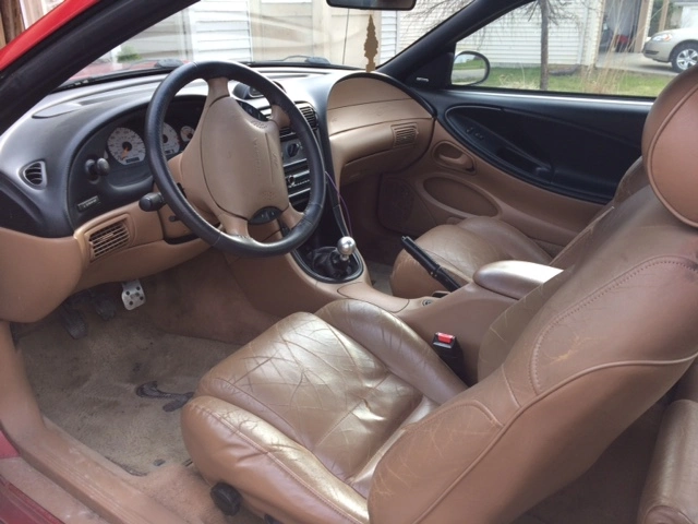 image5.webp