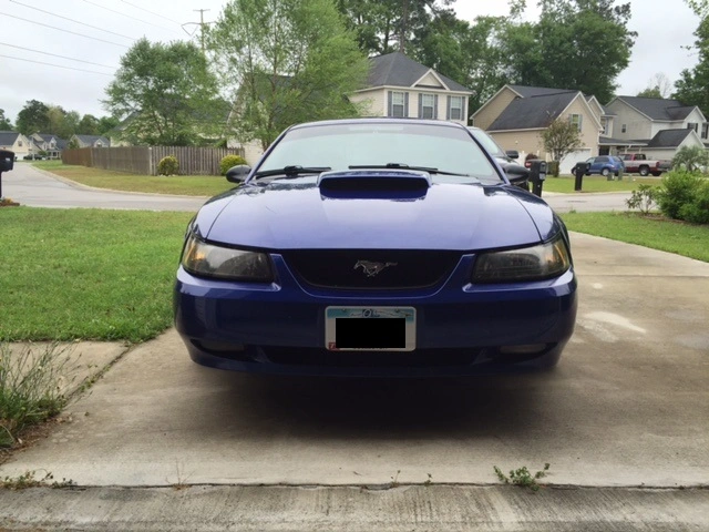 image7.webp