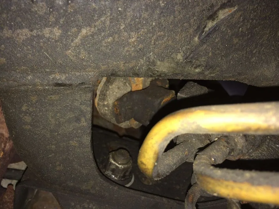 image_1.webp