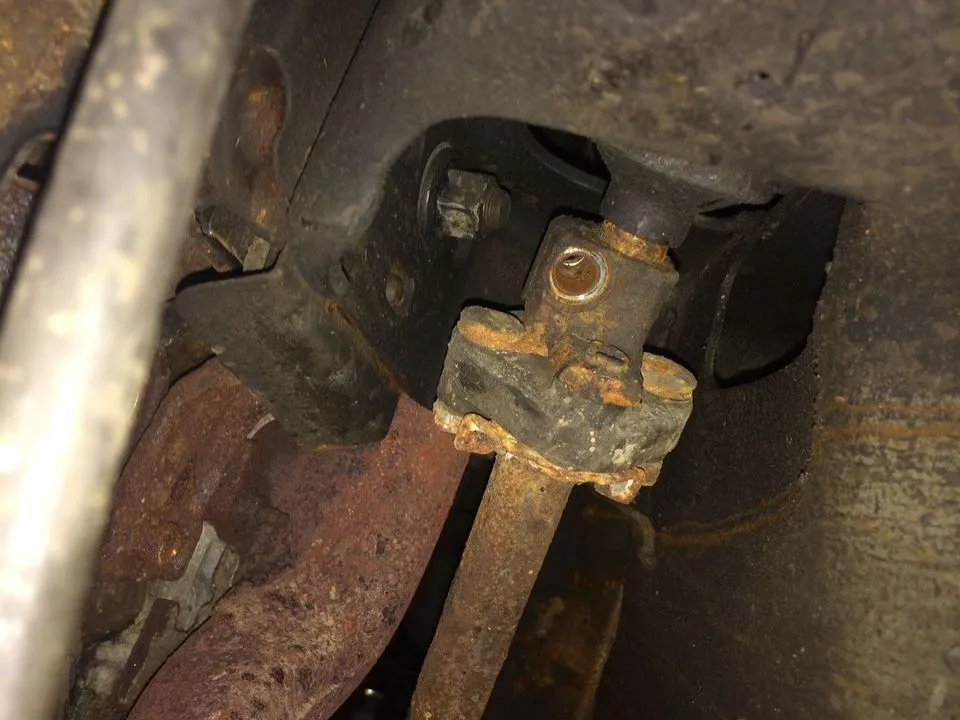 image_2.webp