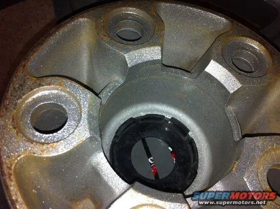 image_4.webp