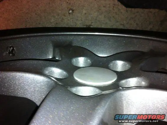 image_7.webp
