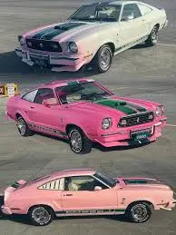 images (2).webp