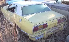 images (3).webp