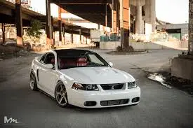 images.webp