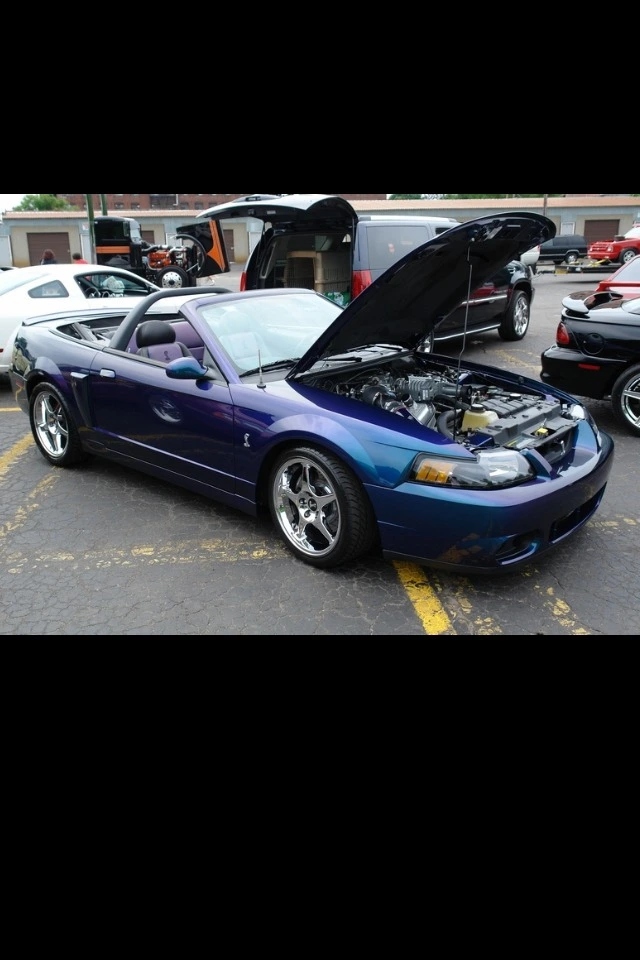 ImageUploadedByTapatalk1334168048.139643.webp