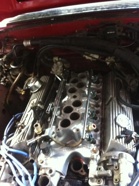 ImageUploadedByTapatalk1348662595.296592.webp
