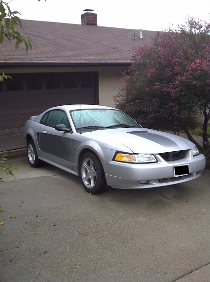 IMG-20110103-00019.webp