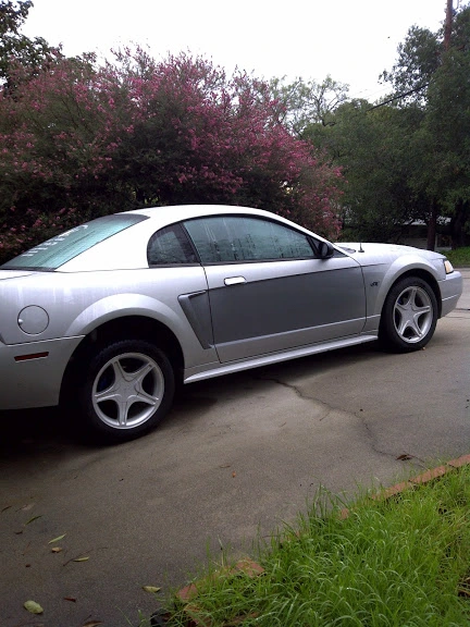 IMG-20110103-00020.webp