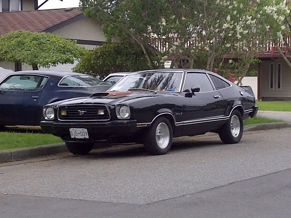 IMG-20110524-00059.webp