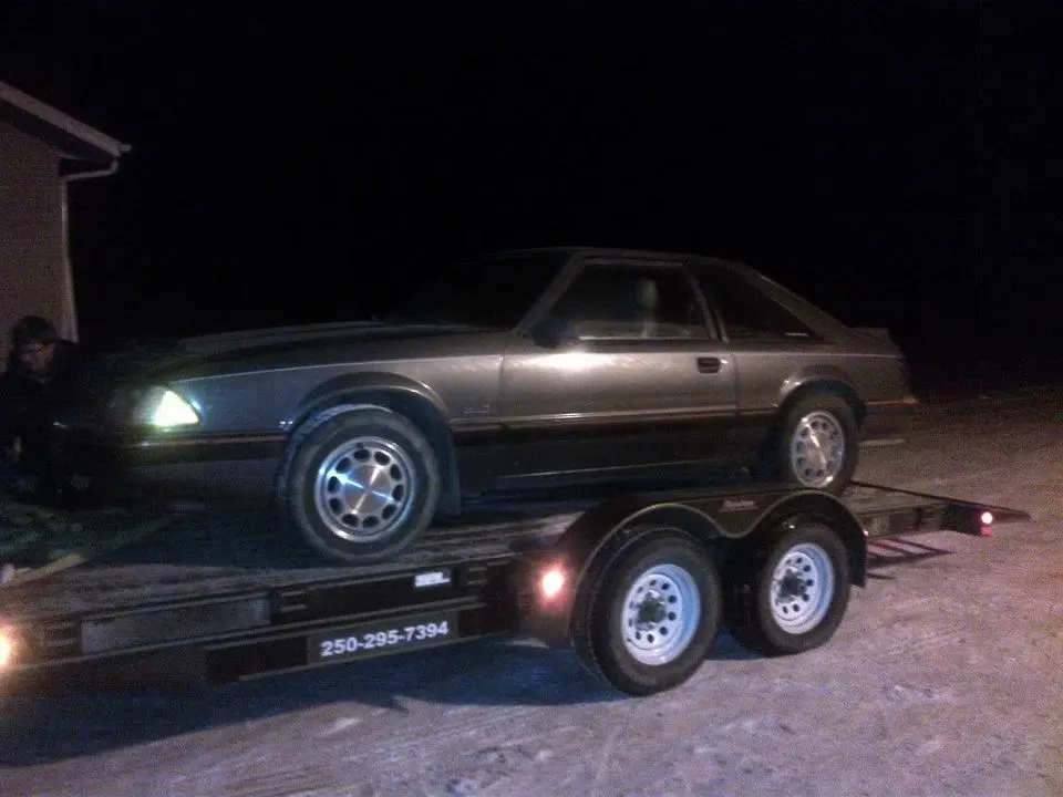 IMG-20111215-00022.webp
