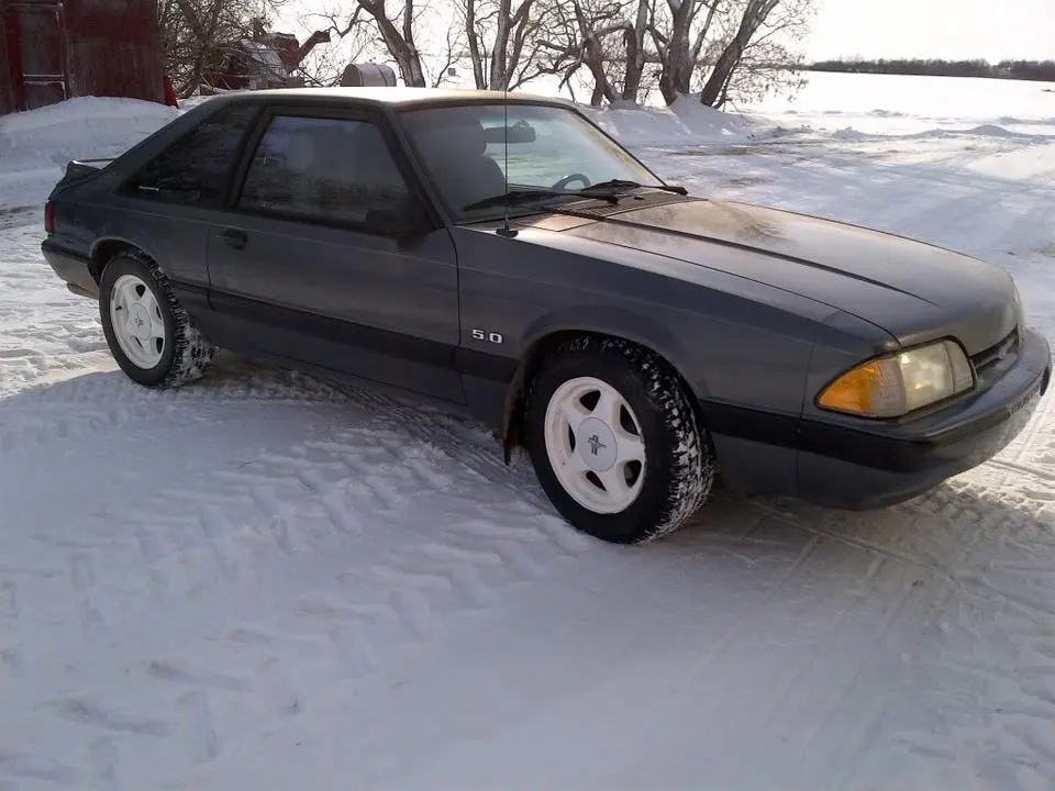 IMG-20120307-00180.webp