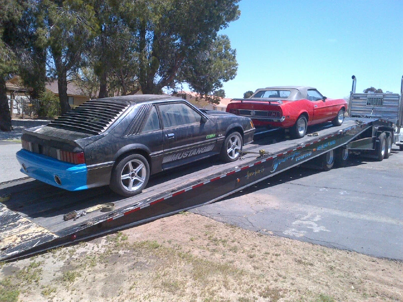 IMG-20120417-00011.webp