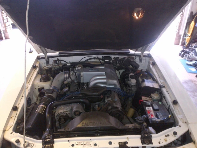 IMG-20120714-00571.webp