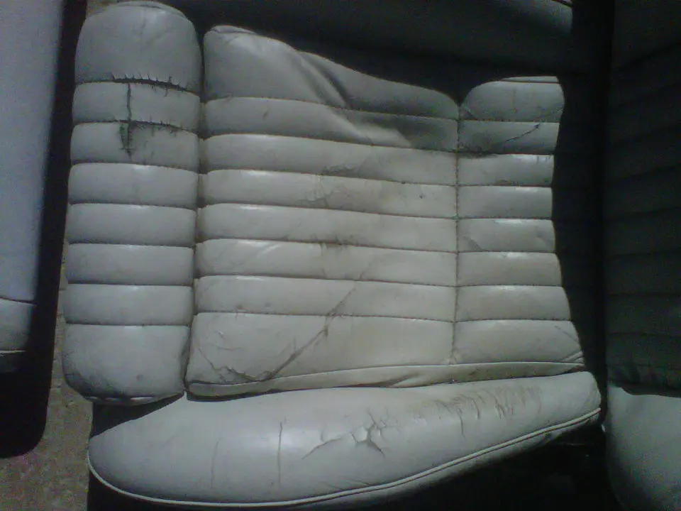IMG-20121012-00182.webp