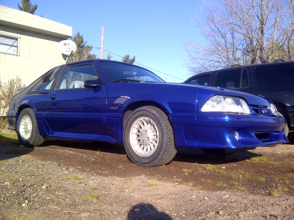 IMG-20121105-00771.webp