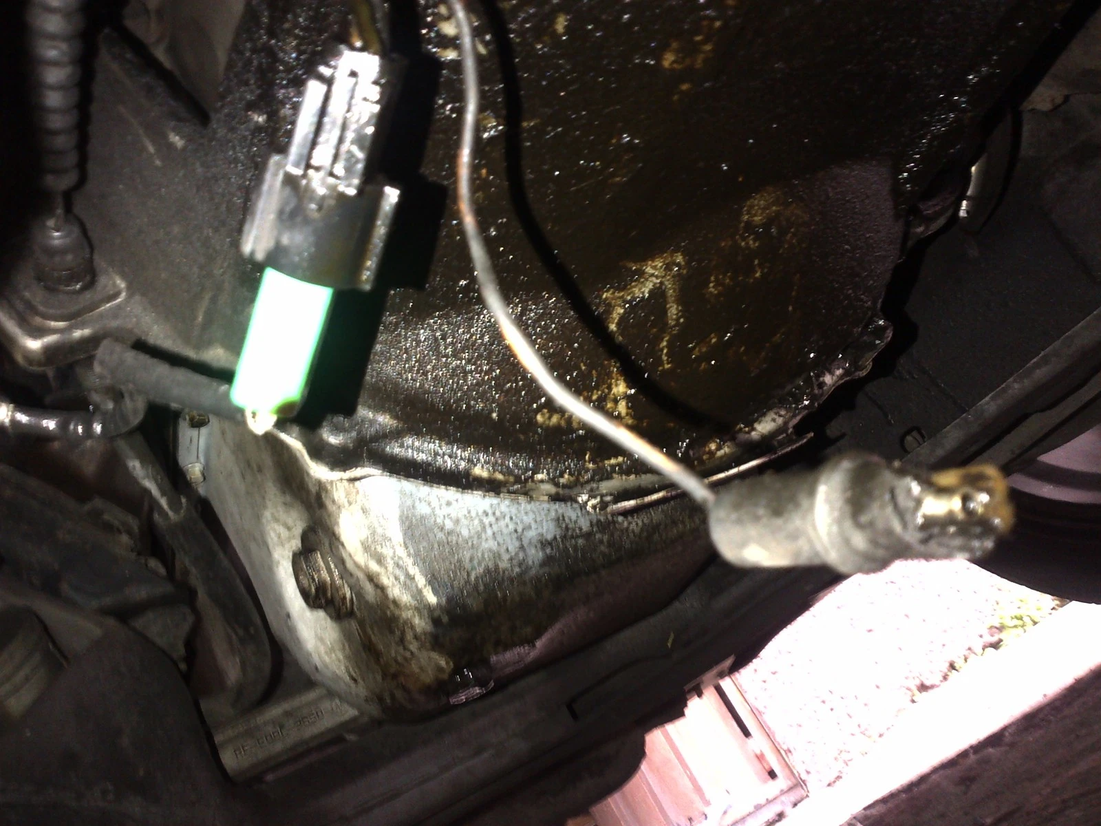 IMG-20131020-00016.webp