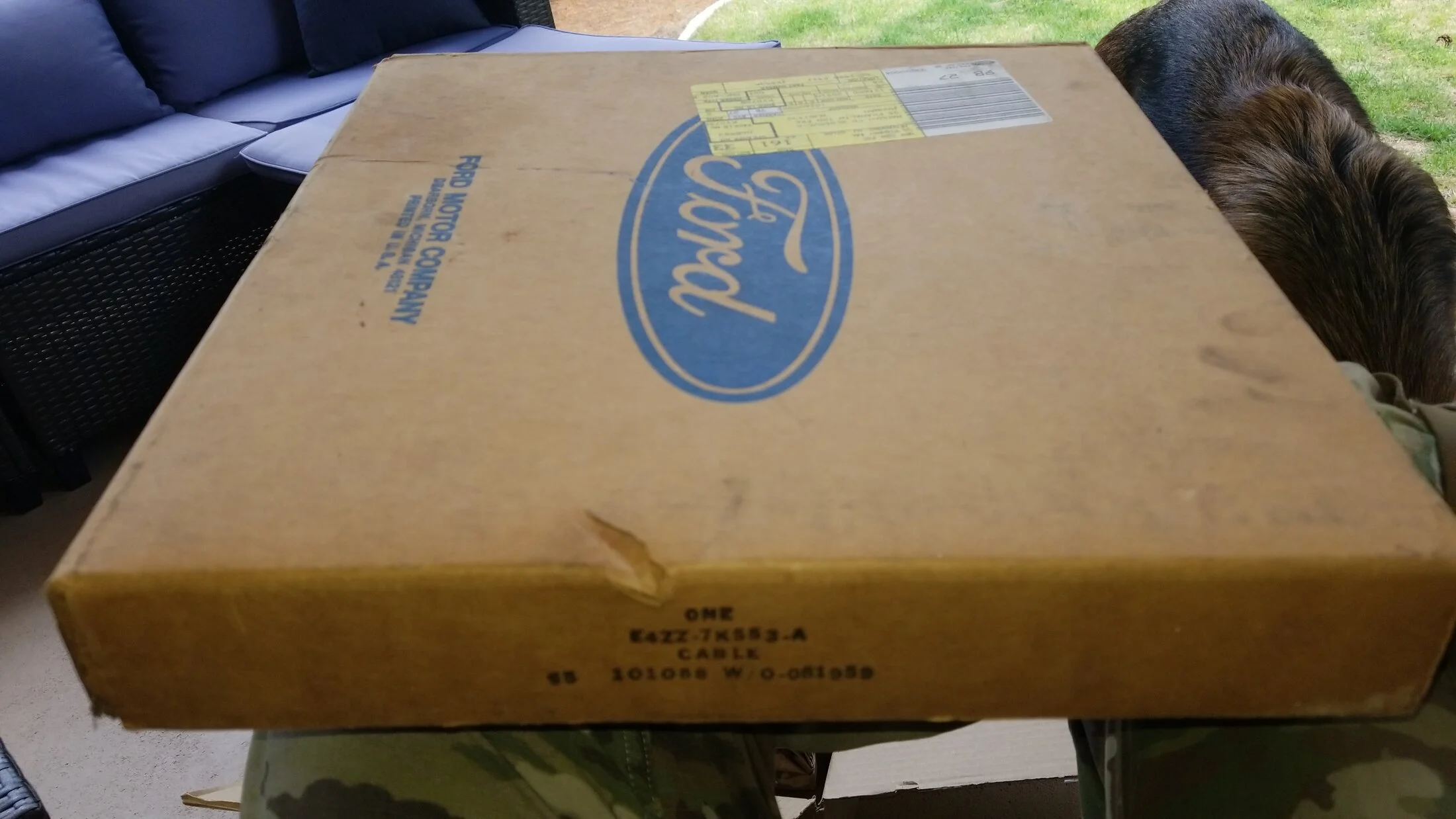 IMG-20230615-WA0000.webp