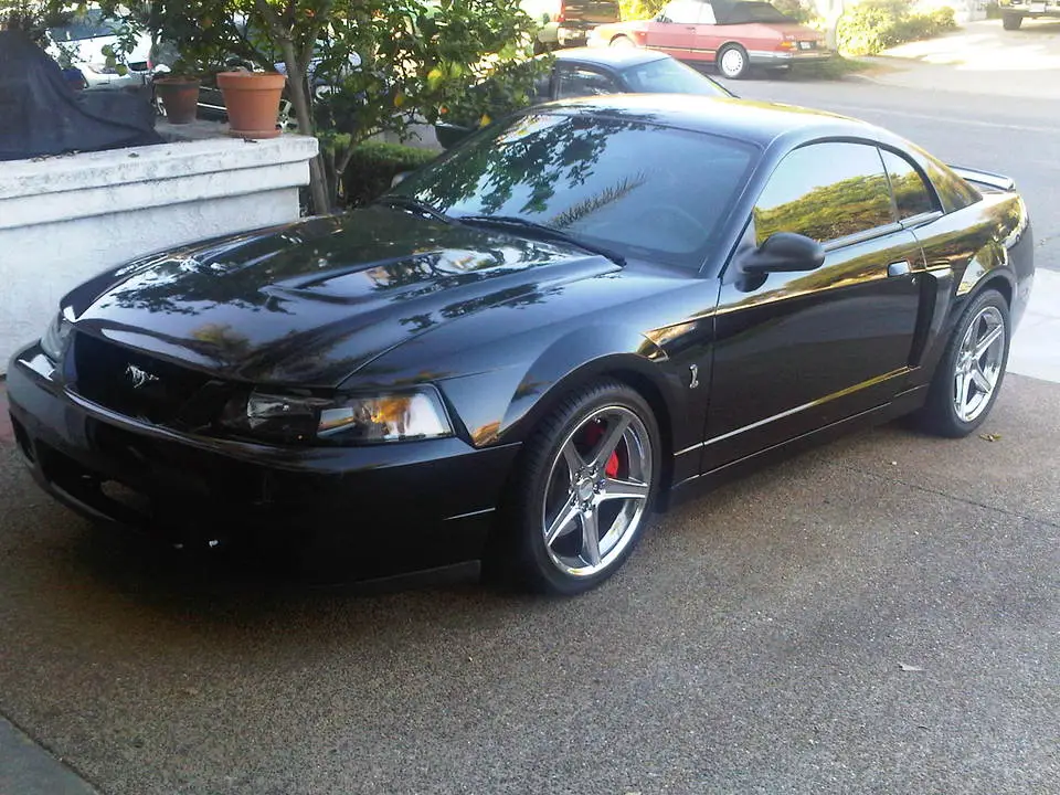 img00008201008091816.webp
