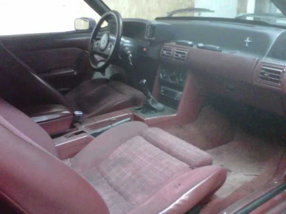 IMG00013-20100501-1654.webp