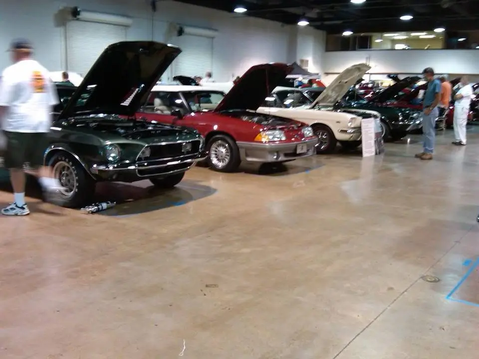 IMG00017-20090704-1158.webp
