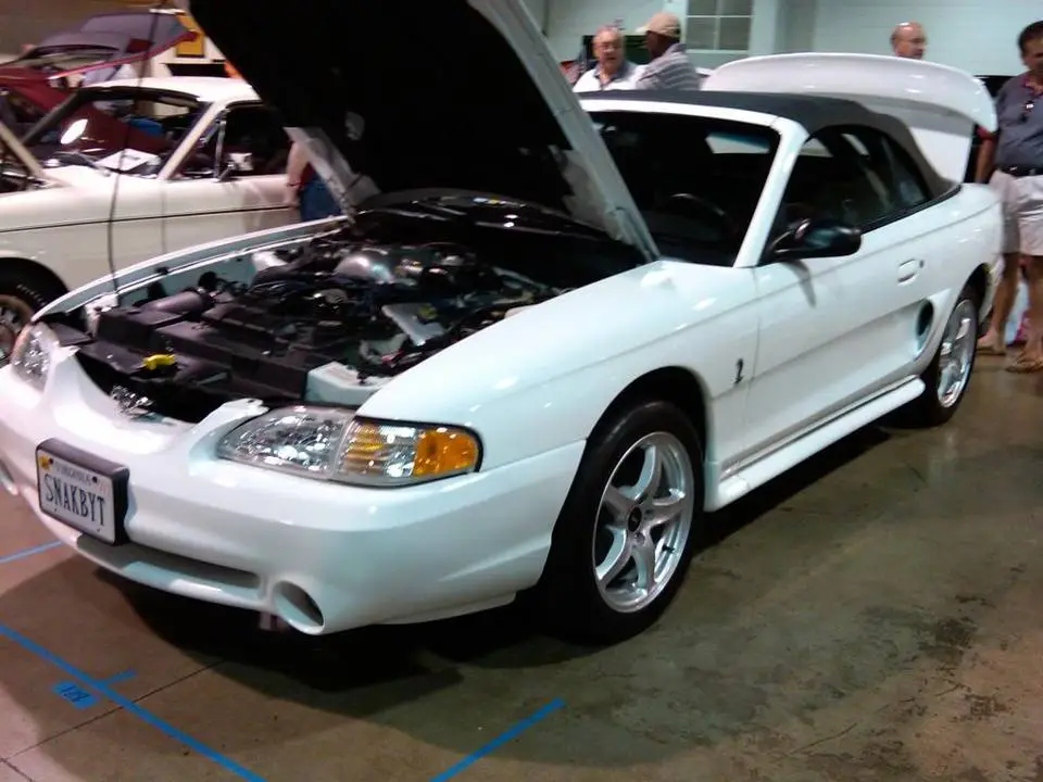 IMG00023-20090704-1200.webp