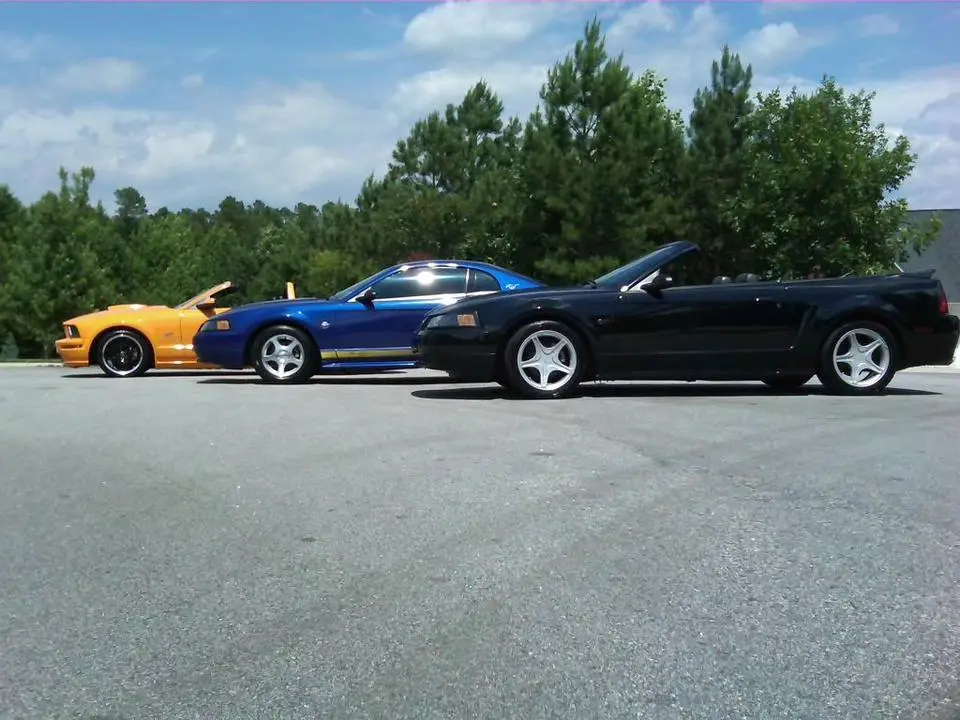 IMG00024-20090621-1458.webp