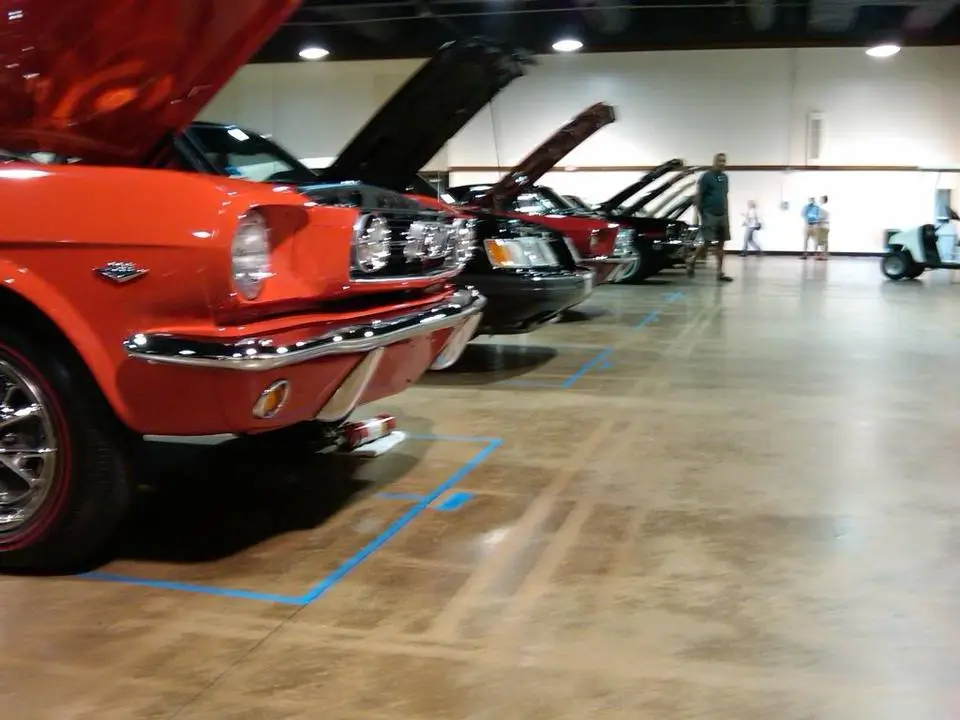 IMG00026-20090704-1202.webp
