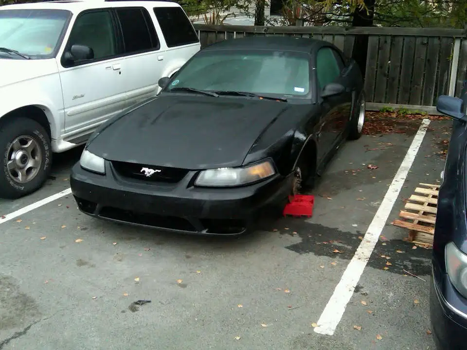IMG00029-20091215-0825.webp