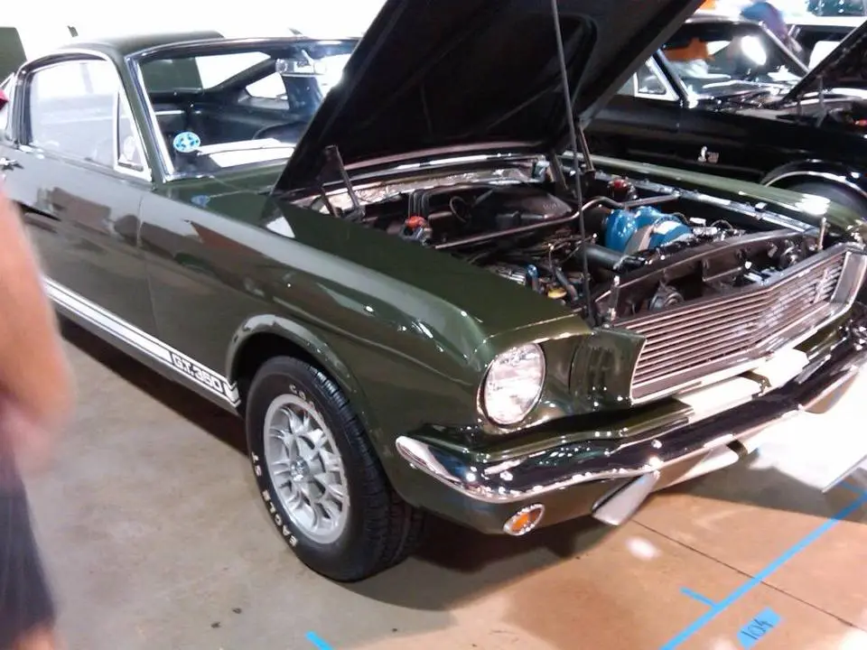 IMG00034-20090704-1210.webp
