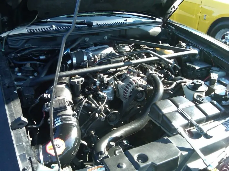 IMG00034-20091107-1440.webp