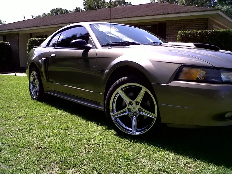 IMG00035-20100512-1059.webp