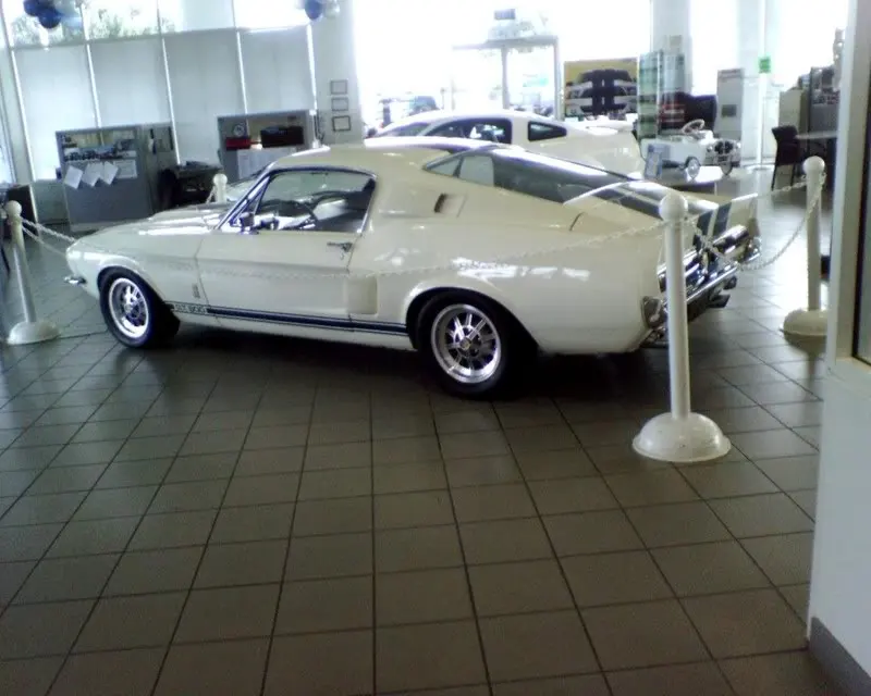IMG00078.webp