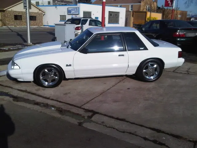 IMG00079-20100119-1414.webp