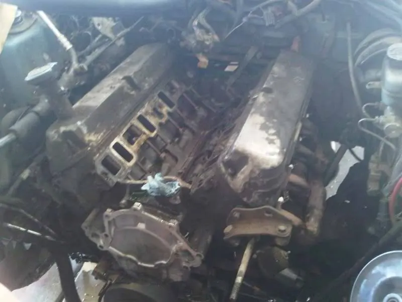 IMG00081-20090812-1615.webp