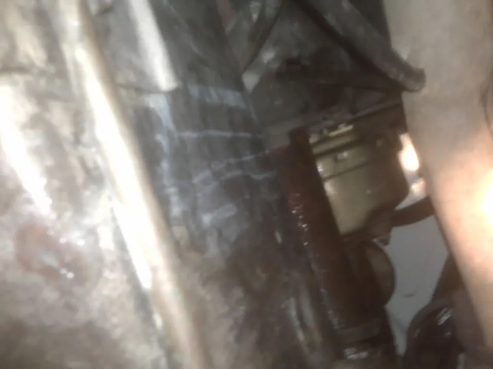 IMG00089.webp