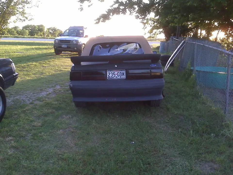 IMG00101.webp