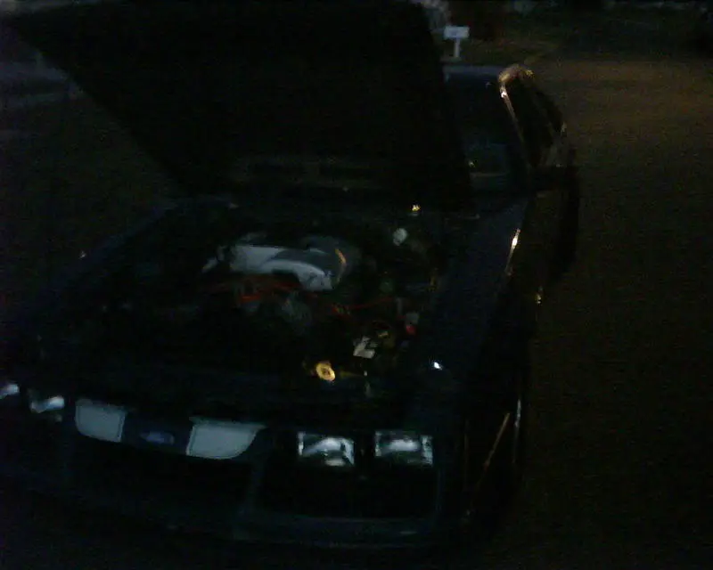 IMG00113.webp