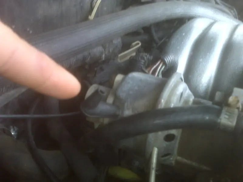 IMG00118.webp