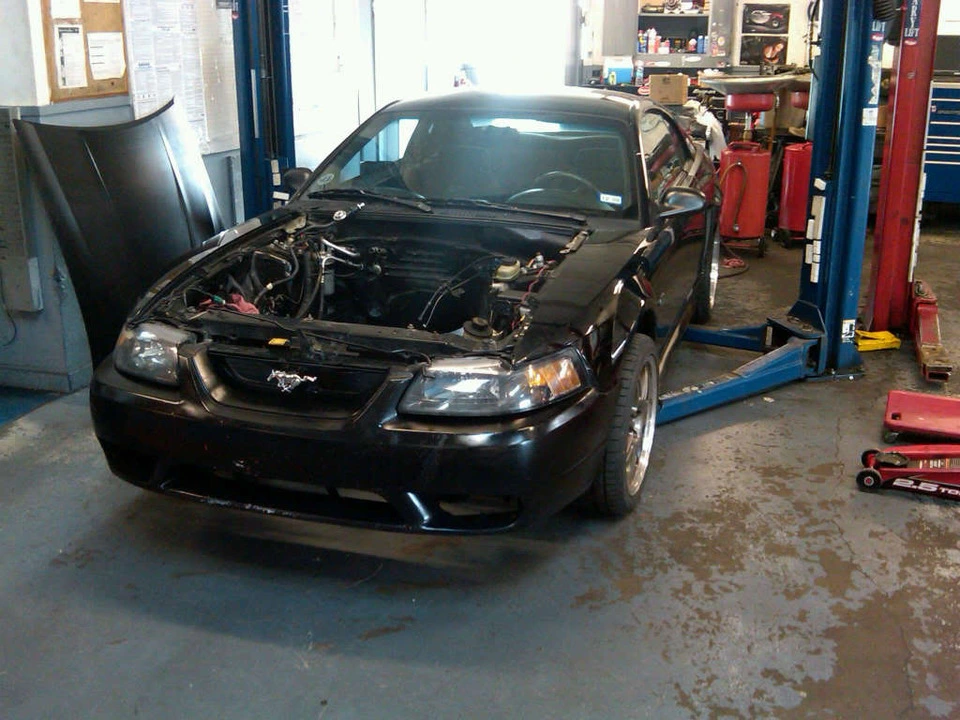 IMG00136-20100318-1733.webp