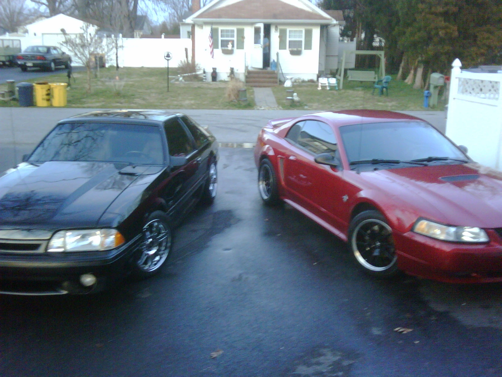 IMG00137-20120223-1738.webp