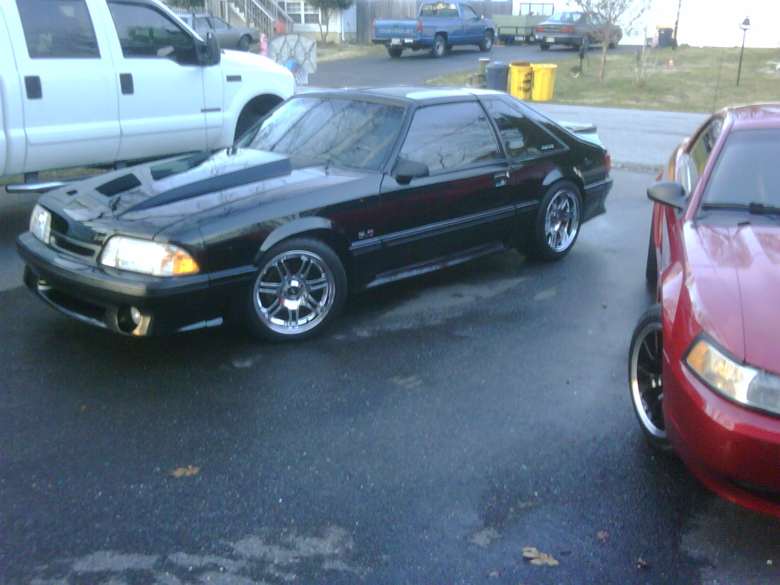 IMG00138-20120223-1739.webp