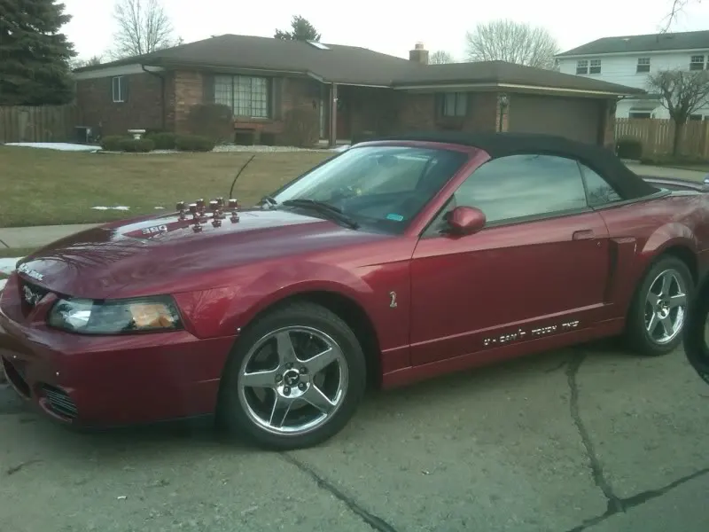 IMG00160-20100309-1716.webp