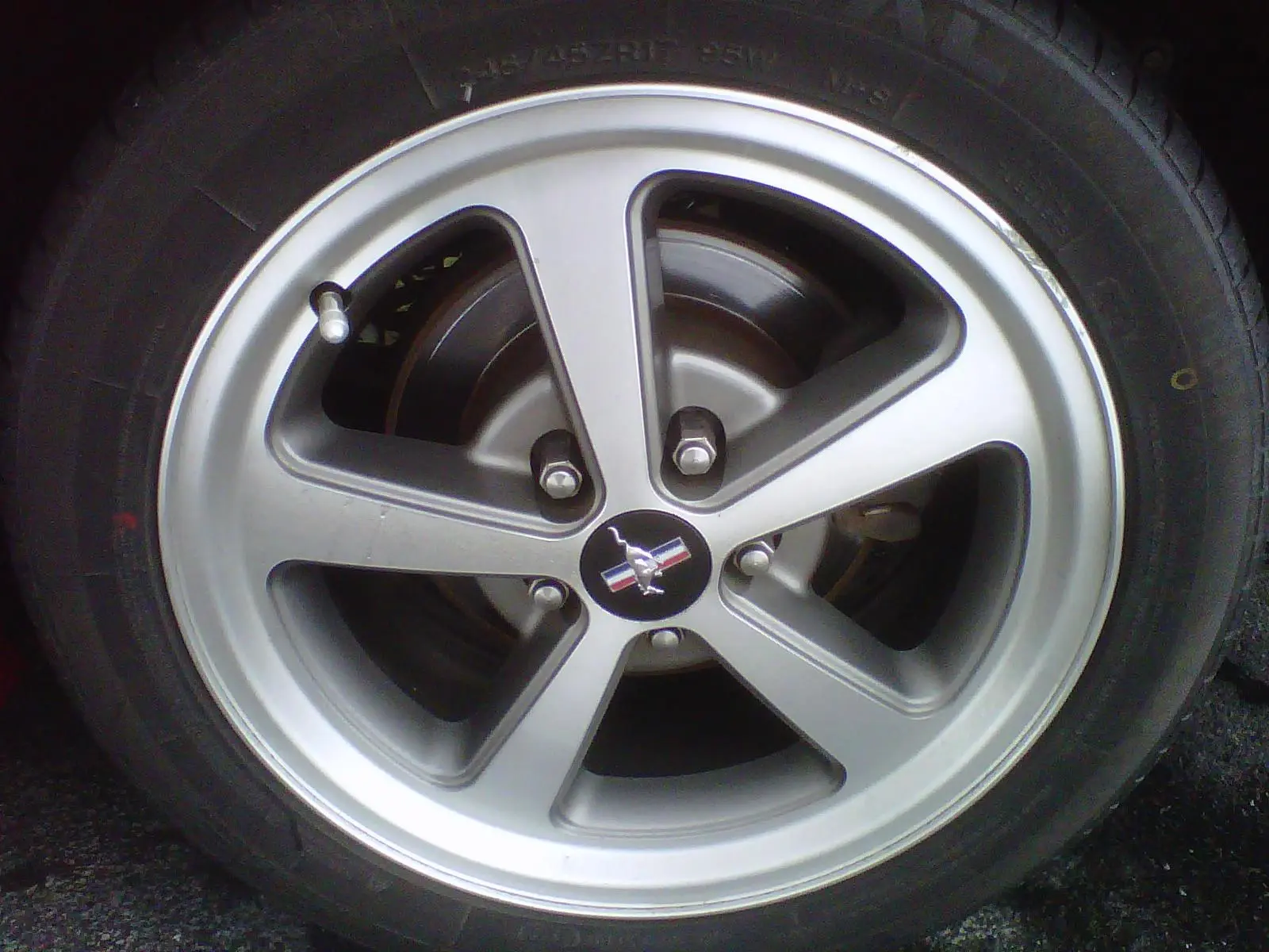 IMG00179-20120211-1018.webp