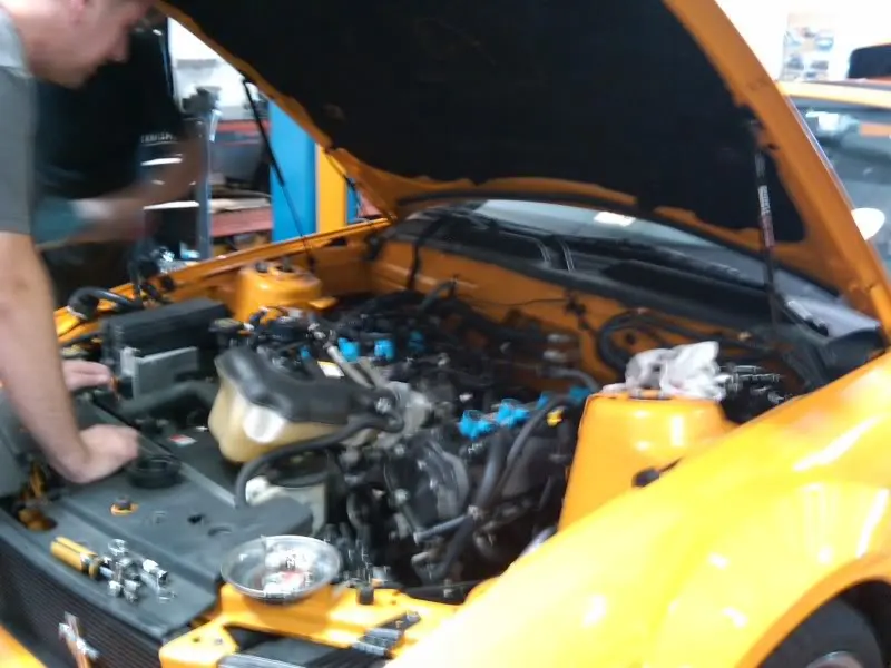 IMG00180-20091003-1242.webp